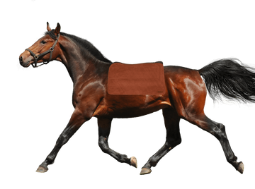 SaddleRight Western Square Saddle Pad